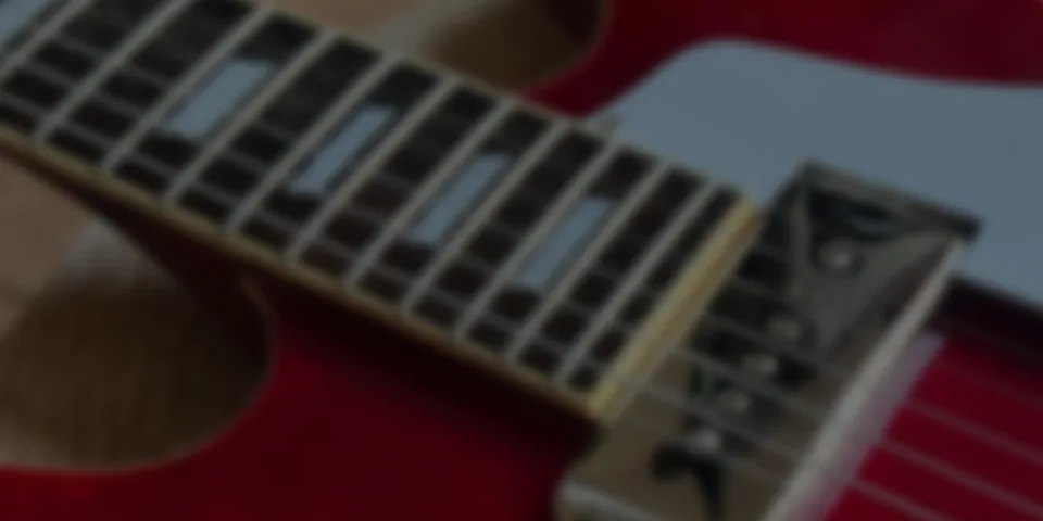 Darkening your fretboard: how a stain wax works