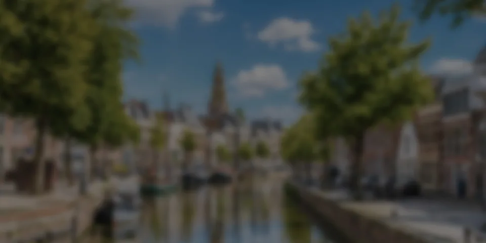 Meet Rogier Broekhuis, our luthier in Groningen